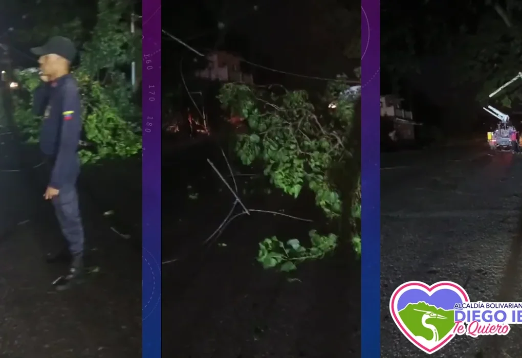 Informe del Incidente en Barrio Nuevo