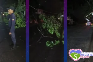 Informe del Incidente en Barrio Nuevo