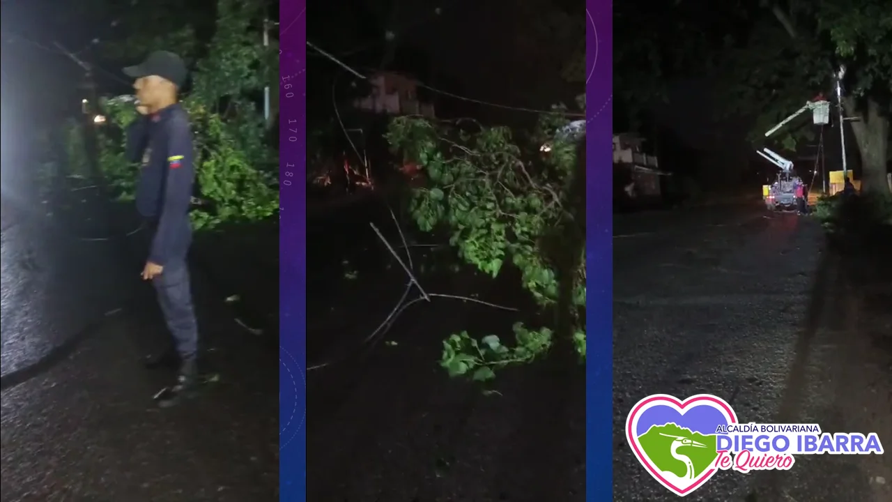 Informe del Incidente en Barrio Nuevo