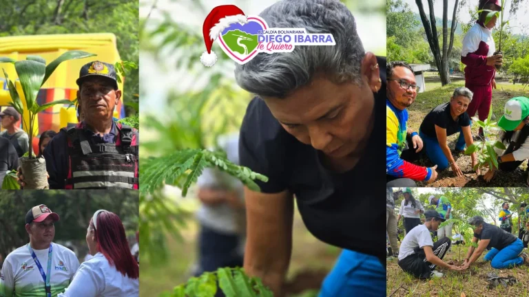 Diego Ibarra Un Futuro Más Verde