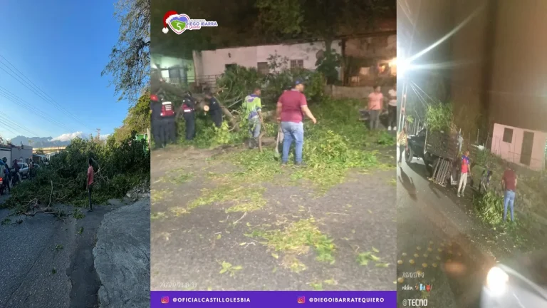 Despeje inmediato de la Carretera Nacional Mariara - Maracay