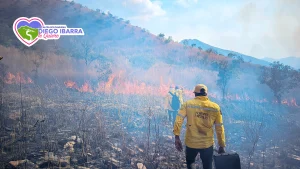 Bomberos y Brigadistas frenan desastre ecológico en Diego Ibarra