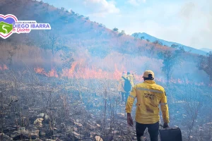 Bomberos y Brigadistas frenan desastre ecológico en Diego Ibarra
