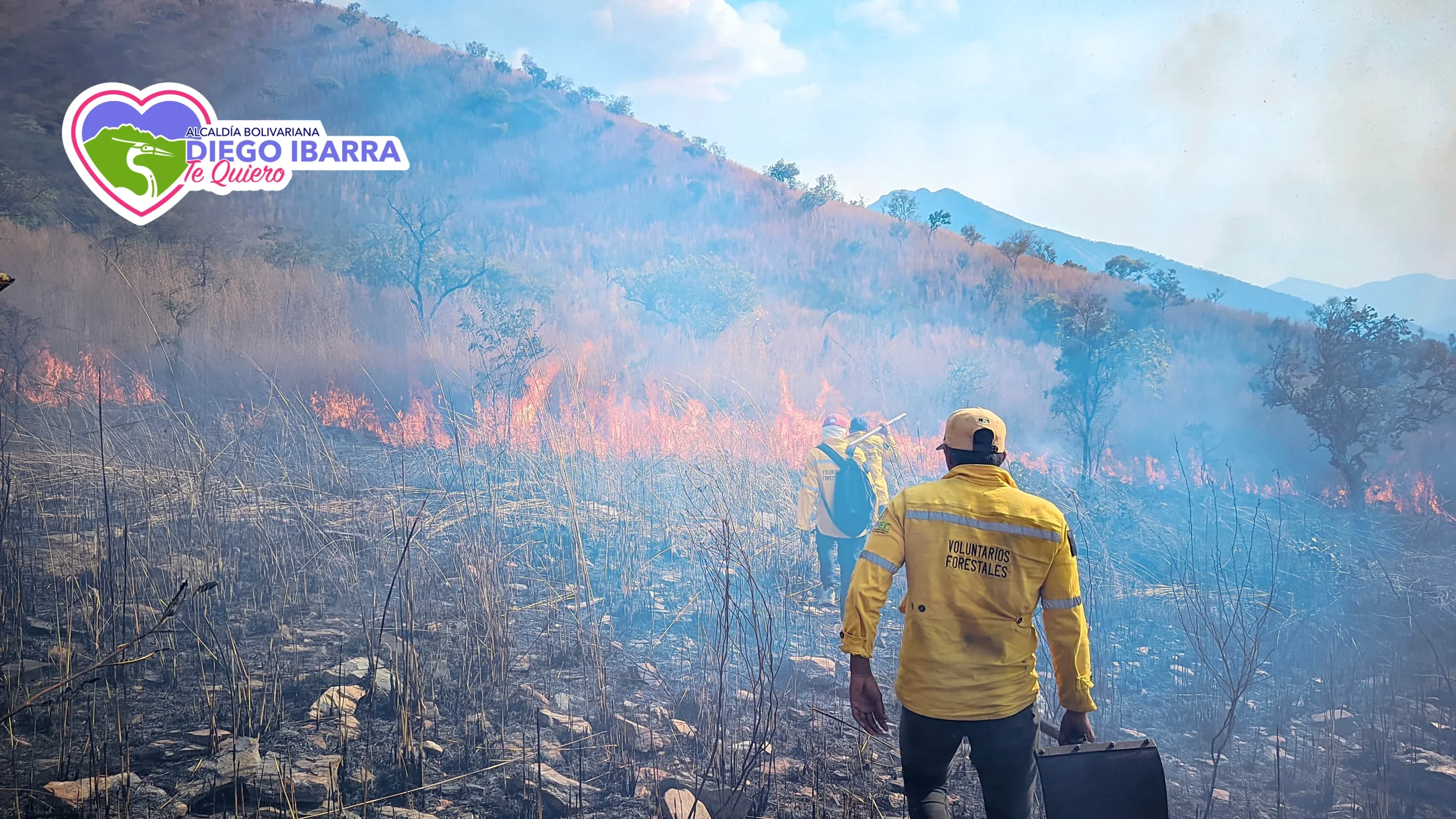 Bomberos y Brigadistas frenan desastre ecológico en Diego Ibarra
