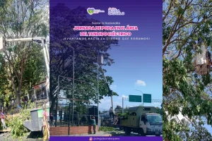 Mantenimiento preventivo y poda de vegetación en el sistema de distribución