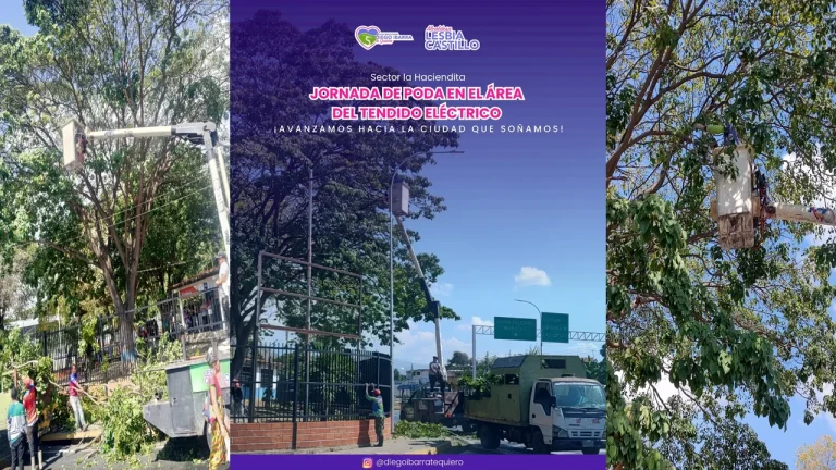 Mantenimiento preventivo y poda de vegetación en el sistema de distribución