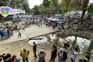 Carnavales en el río de Mariara