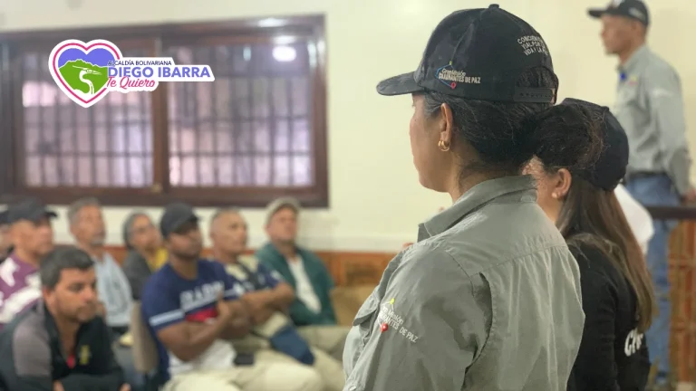 INTT actualiza requisitos para trámites de vehículos.