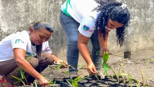 “Chuquisaca” en Diego Ibarra