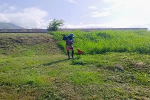 Embellecimos la prolongación Diego de Tovar con limpieza integral