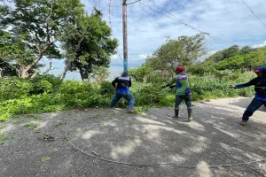 Respuesta inmediata con Corpoelec en Punta Palmita II